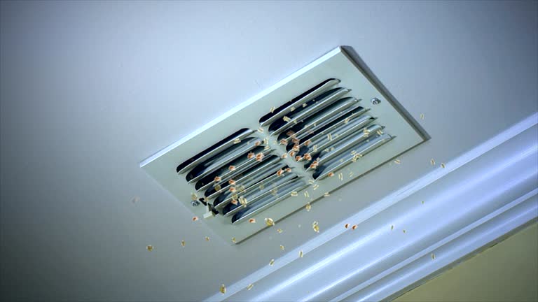 Best Home Air Vent Cleaning  in Hansen, ID